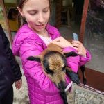 4A "W Zielonym Gaju"